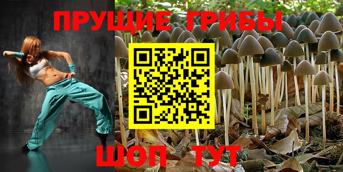 Галлюциногенные грибы GOLDEN TEACHER Обь