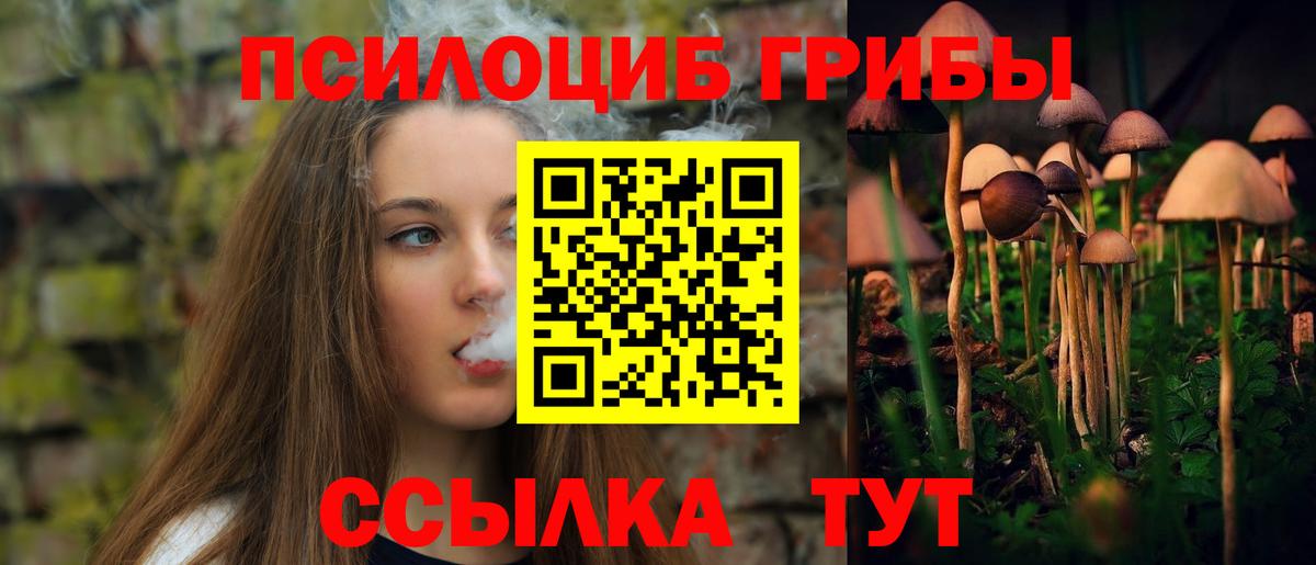 Псилоцибиновые грибы Cubensis  Псилоцибиновые грибы Cubensis  Вход с VPN  Обь 